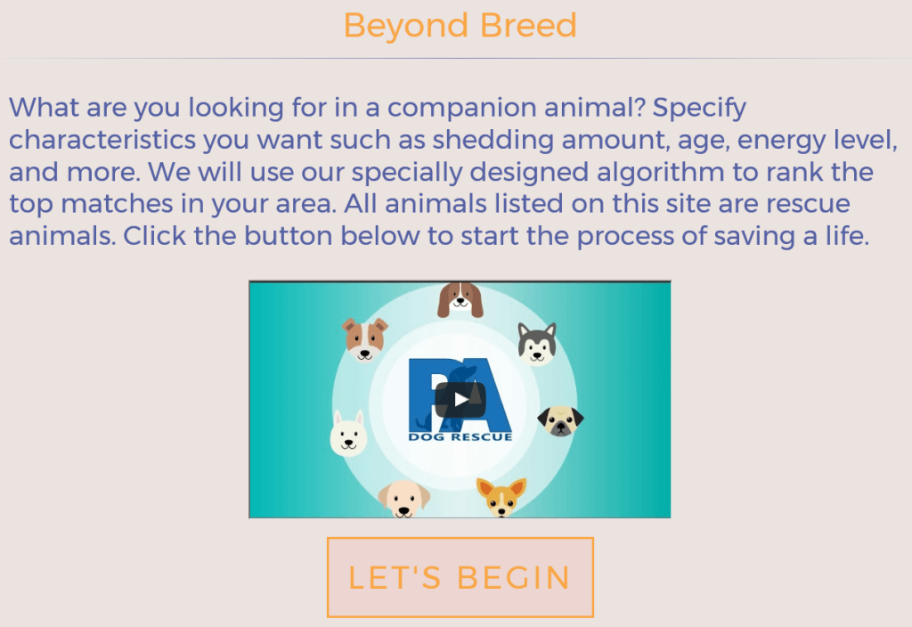 Beyond Breed Light Theme Example