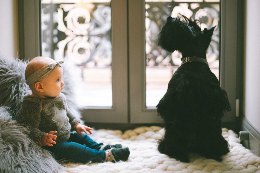 Dog sitting next to a baby girl