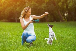 Woman playing with dog in the grass