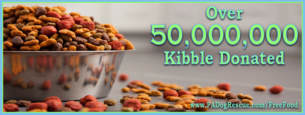 Dog bowl filled with food 45,000,000 kibble donated