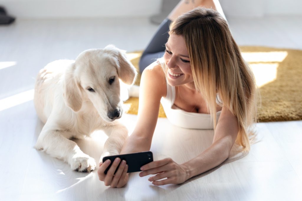 Woman Laying Next To Dog Looking at Phone