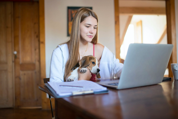 WomanHolding Dog Looking At Laptop