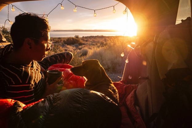 Dog And Human Camping