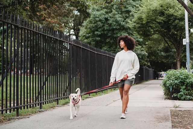 Woman walking her dog while looking for a dog-friendly neighborhood.